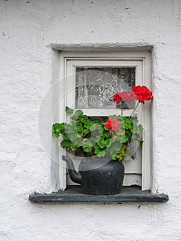 Ireland. A small window with geraniums