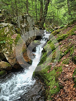 Irene Falls on Bucklin Trail