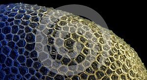 Iridescent Hexagonal Cellular Texture Macro Abstract Pattern