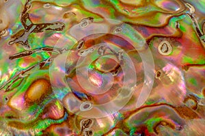 Iridescent surface texture of abalone shell close-up