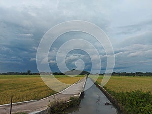 irigation ricefield sukoharjo jawa tengah