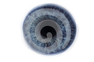 Iris of a blue clean human eye