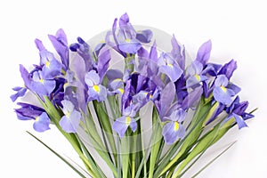 Iris bouquet