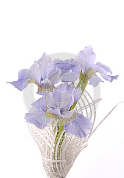 Iris bouquet