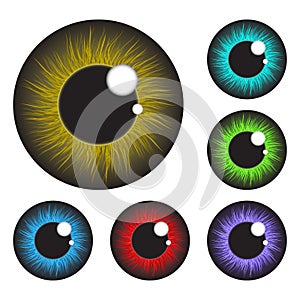 Iris eye realistic vector set design isolated on white backgro