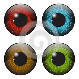 Iris eye realistic vector set design isolated on white
