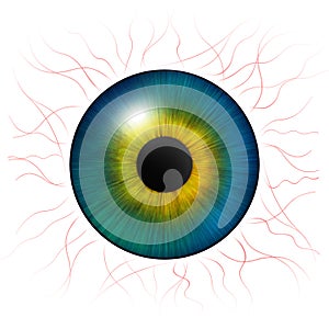 Iris eyes. Human iris with blood veins. Eye illustration. Blue eye. Creative digital design