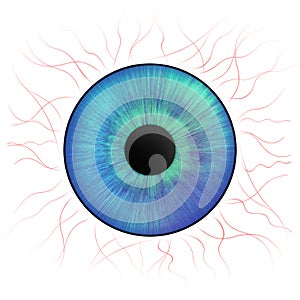 Iris eyes. Human iris with blood veins. Illustration of an eye. Creative graphic design