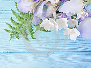 Iris flower, jasmine blue wooden frame background