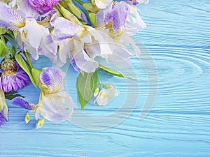 Iris flower romance, blossom fresh birthday design spring decoration on blue wooden background