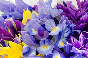 Iris flower season at Redmond farmer market