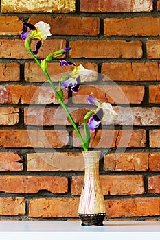 Iris flower in a vase on a white table against the background of a brick wall close-up.