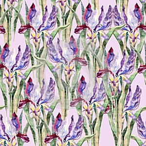 iris flowers background seamless pattern, watercolor on paper,