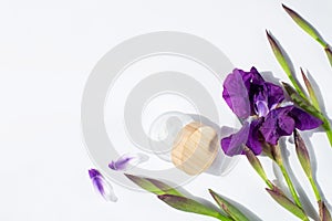 Iris flowers and cream in a glass jar with a wooden lid are on a white background.