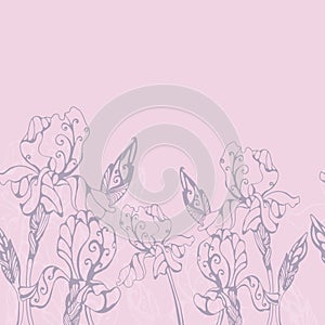 Iris flowers horizontal seamless border