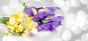 Iris and freesia flower illustration