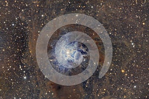Iris Nebula NGC7023