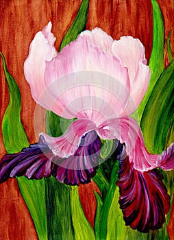 Iris. Oil painting