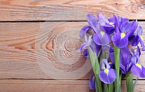 Iris on an old wooden background