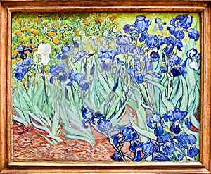 Van Gogh, Iris Painting, Getty Museum, Los Angeles - Original