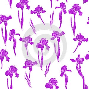 Iris pattern violet photo