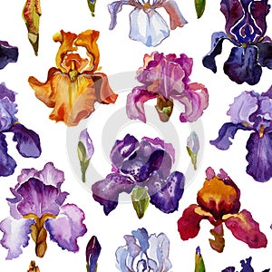 Iris watercolor seamless pattern