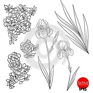 Iris and wild rose flowers. Stock line vector illustration botan