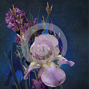 Irises bouquet stylized design on dark background