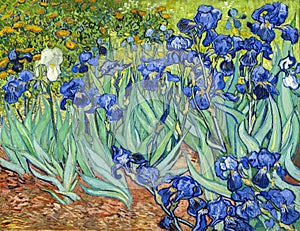 Irises by Vincent van Gogh, 1889