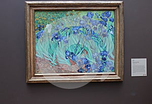 Irises by Vincent van Gogh in Getty Center, Los Angeles