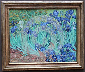 Irises by Vincent van Gogh in Getty Center, Los Angeles