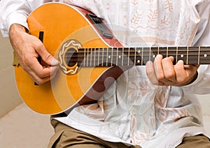 Irish bouzouki player