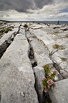 The Irish Burren photo