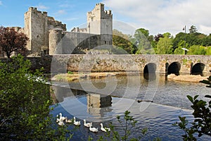 Irish castle of Cahir photo