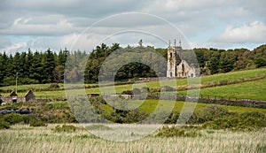 Irish church ruins in a farmland. Castlefreke church remains. Irish countryside. Ireland Europe