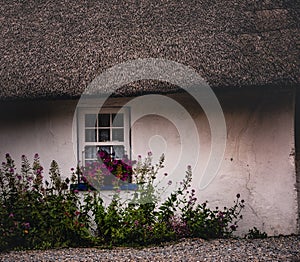 Irish classic and architecture: facade of a classic Irish cottage house with a straw roof and some flowers at the window. Wexford