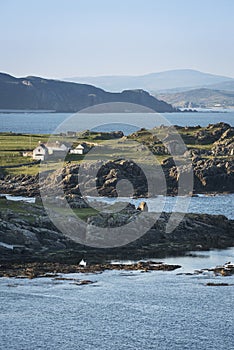 Irish coastline landscape