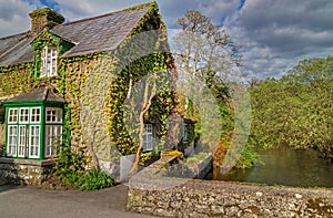 Irish cottage house