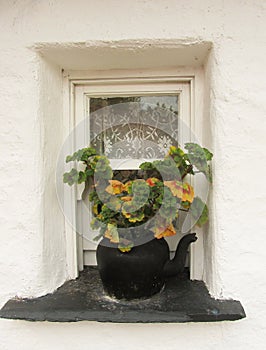 Irish Cottage Window.