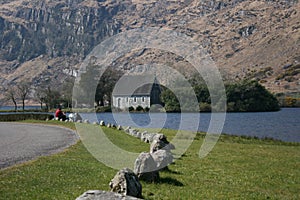 Irlandesi campagna 