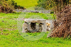 Irish dolmen in a meadow with dry undergrowth and green grass