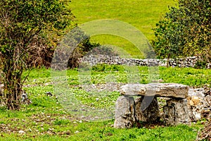 Irish dolmen in a meadow with green grass