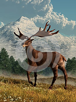 Irish Elk On a Hillside