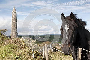 Irish horse and ancient round tower