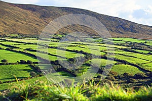 Irish landscape on dingle peninsula in county kerry - ireland