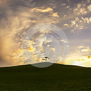 Irish landscape. Ireland. The lonely tree. Isolated tree on the top of a hill. Cloudscape