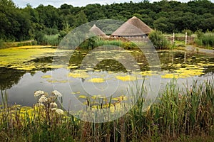 Irish National Heritage Park . Wexford. Ireland