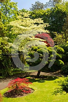 Irish National Stud's Japanese Gardens. Kildare. Ireland photo