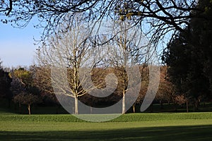 Irish National War Memorial Gardens