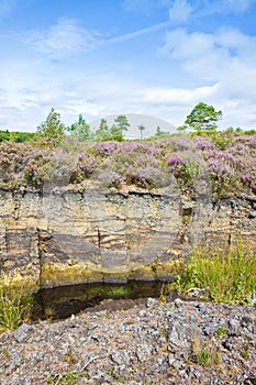 Irish peat bog landscape - Ireland - Europe